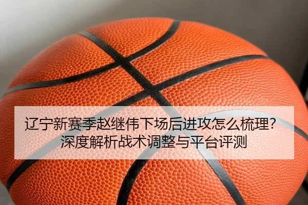 辽宁新赛季赵继伟下场后进攻怎么梳理？深度解析战术调整与平台评测